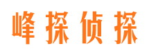 电白外遇调查取证